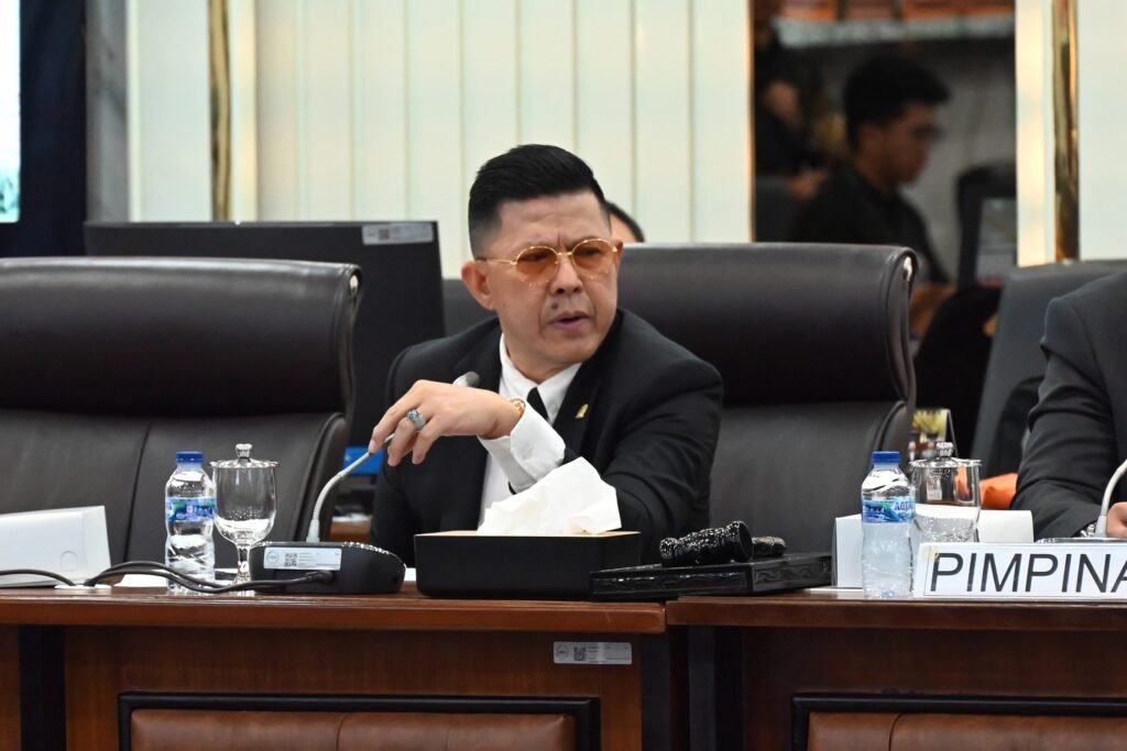 Pansus HPI Tak Ingin Tergesa Demi Utamakan Kepentingan Nasional