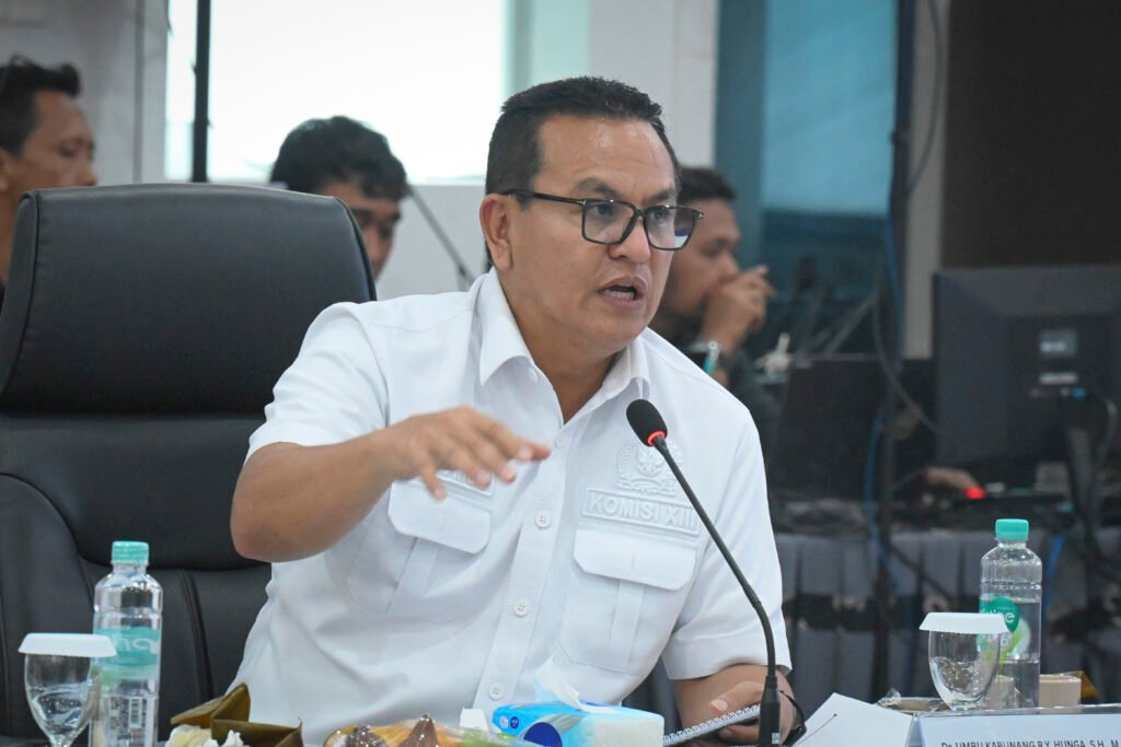 Umbu Kabunang Soroti Celah Praktik PKPU dalam Penyusunan RUU Profesi Kurator